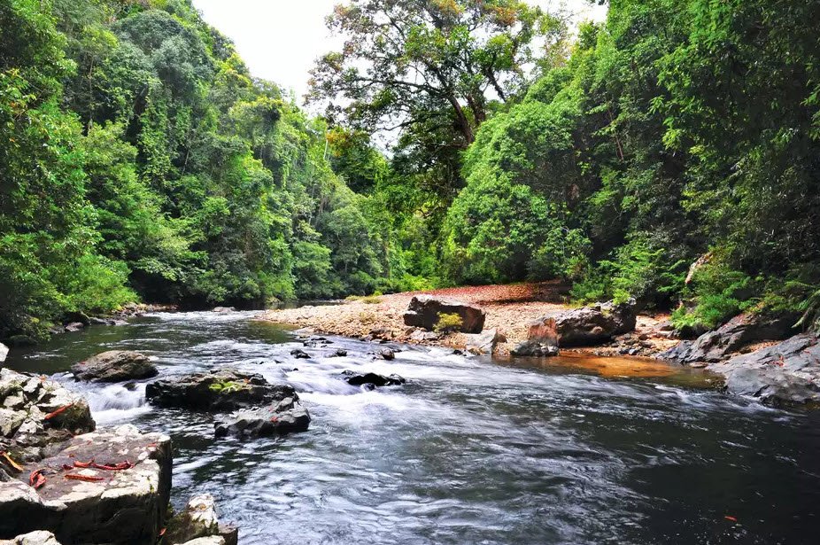 Mount Tahan, Taman Negara, Pahang, Malaysia